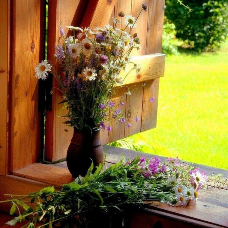 Деревенские цветы