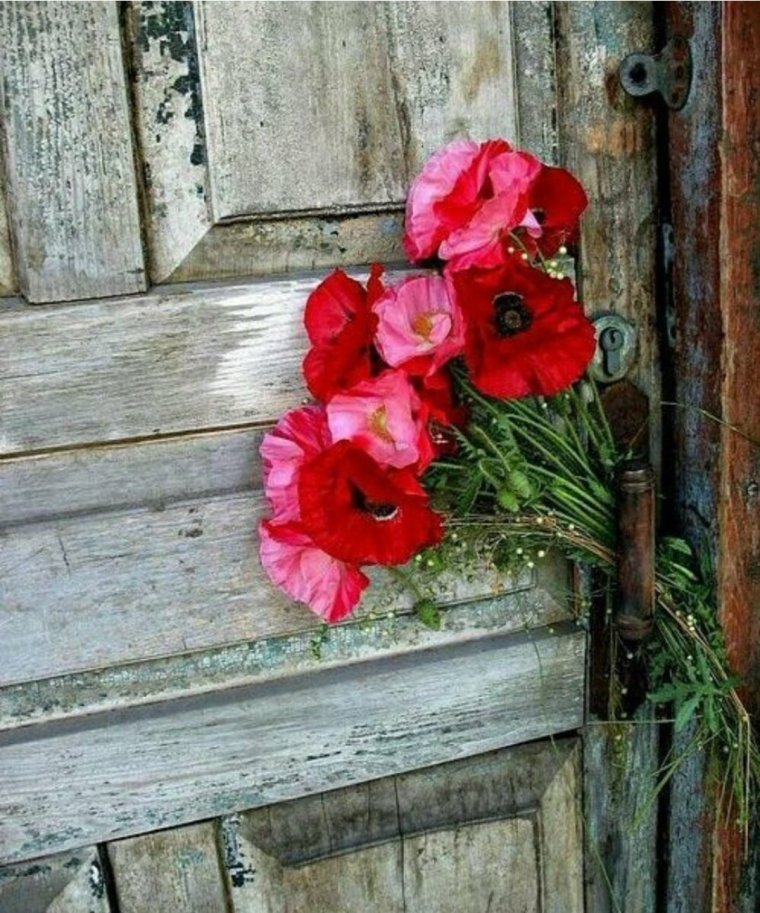 Цветы под дверью