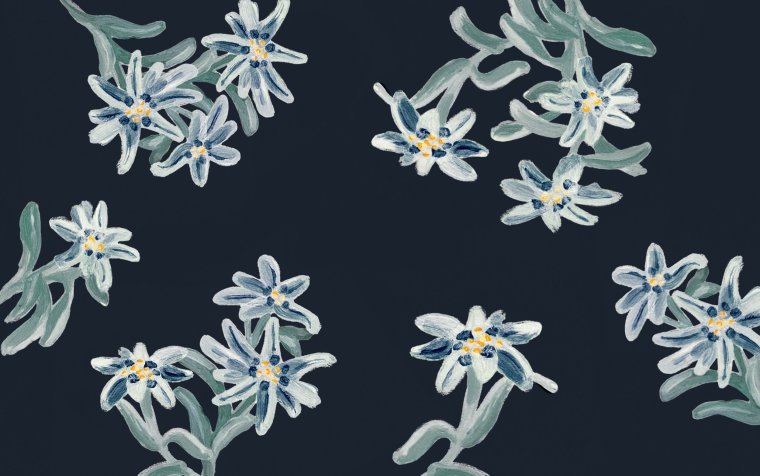 Эдельвейс фон