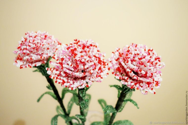 Гвоздика ma0248