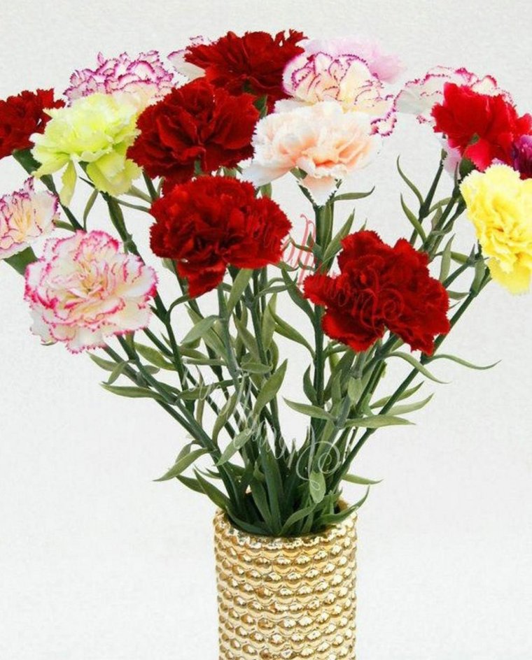 Гвоздика Шабо в букете