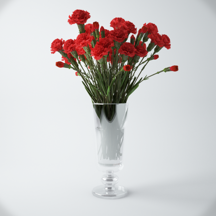 Гвоздики в вазе