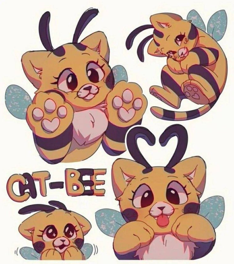 Изображение catbee