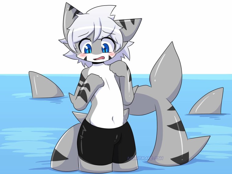 Tiger Shark changed