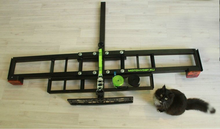 Мотохвост Сорокин