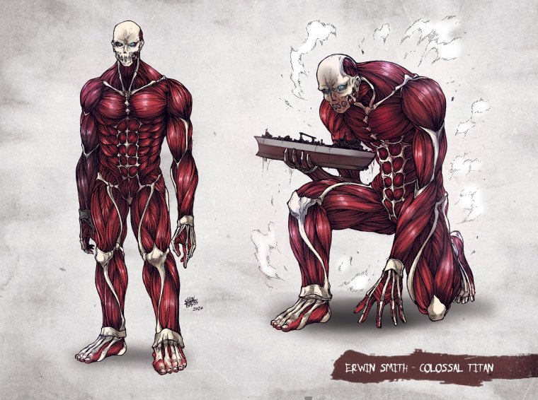 Эрвин колосс