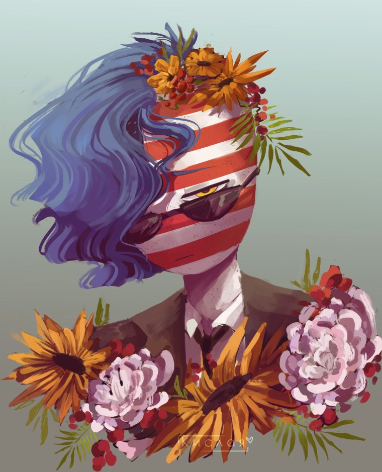 Кантри хуманс США