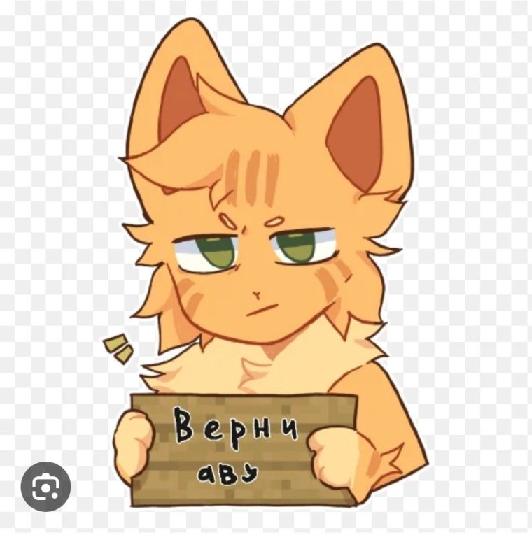 Номер бискаса