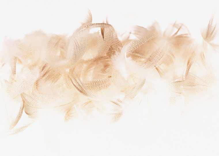 Фон в бежевых тонах Эстетика