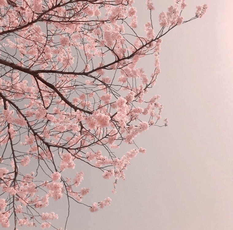 Эстекитак розового и бежевого