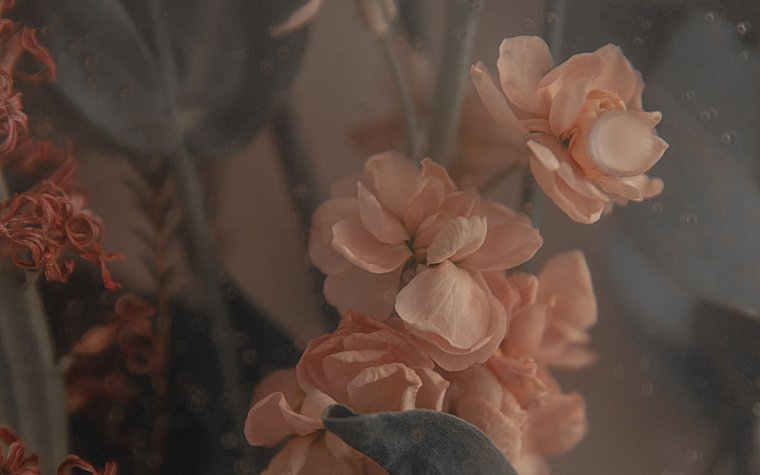 Обои на телефон Эстетика