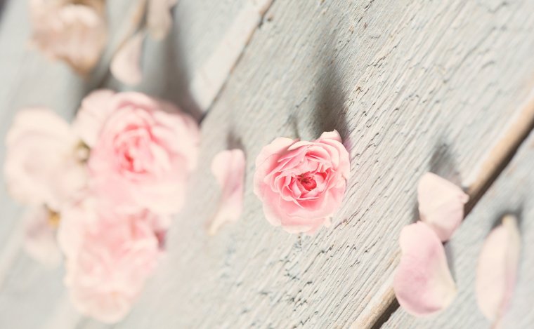 Нежный цветок