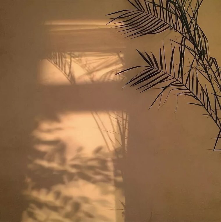 Эстетика бежевого цвета