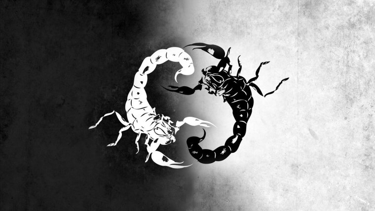 Скорпион фото картинки