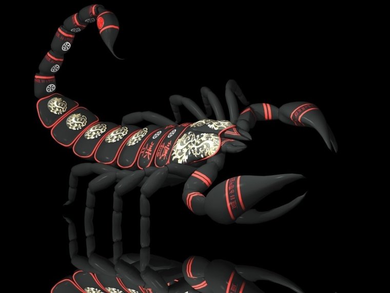 Скорпион обои