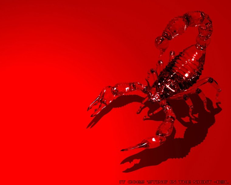 Скорпион картинки