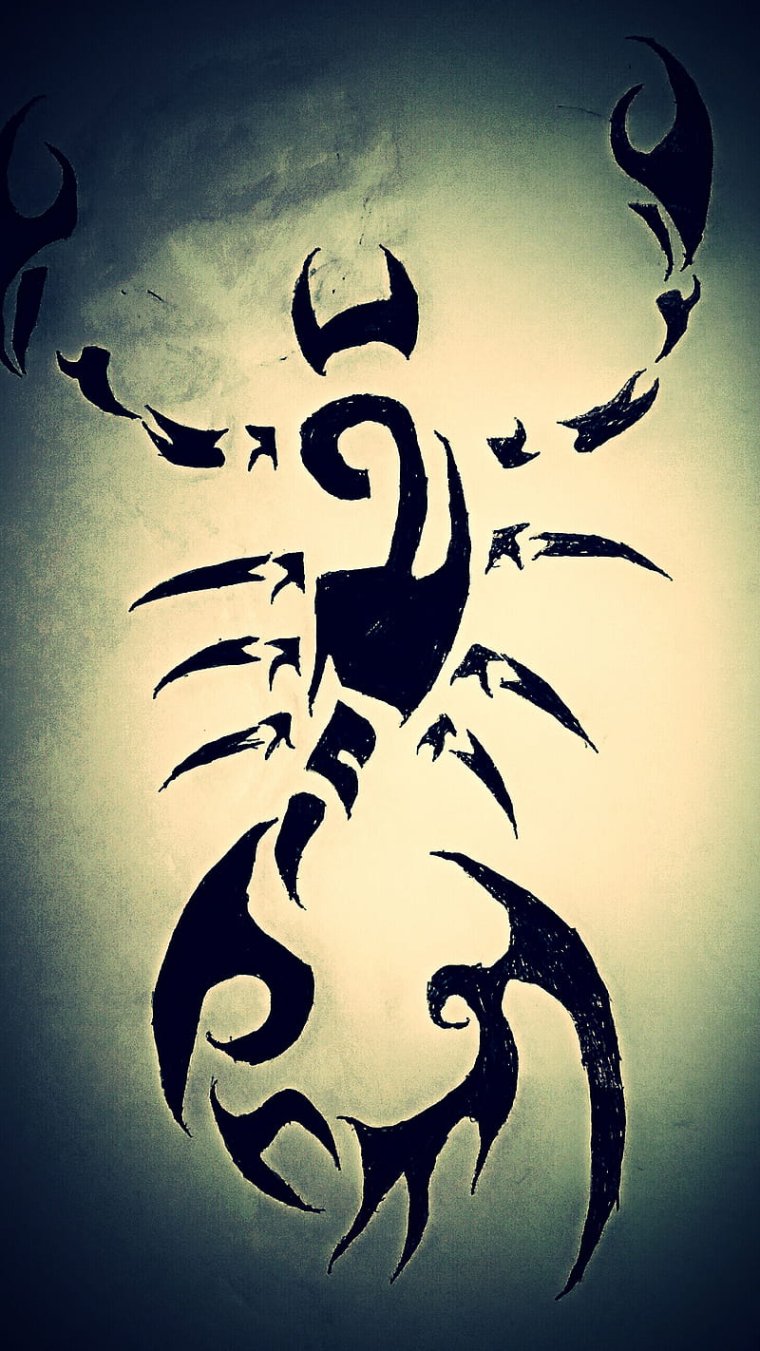 Скорпион картинки