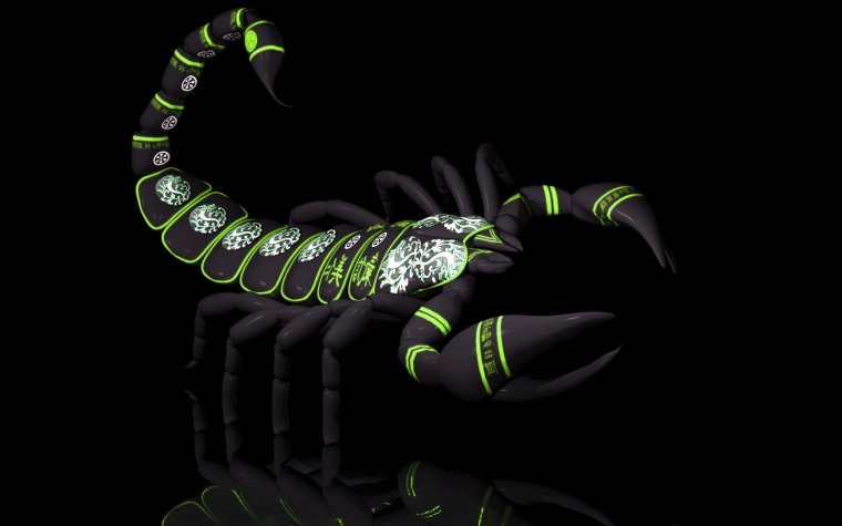 Обои на рабочий стол Скорпион