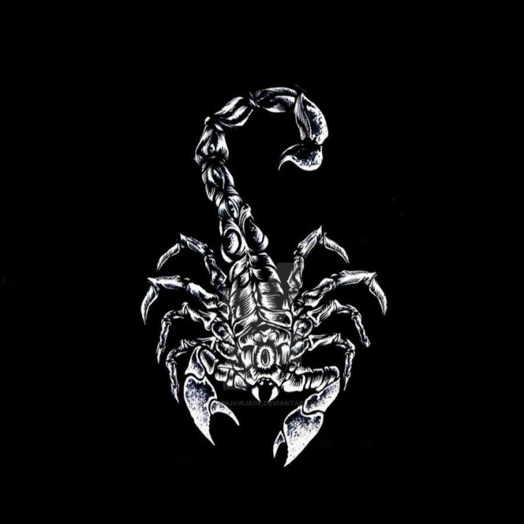 Скорпион тема на телефон