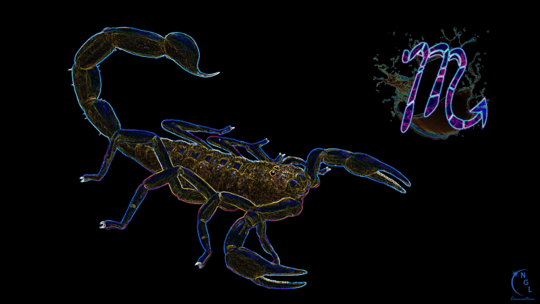 Скорпион обои