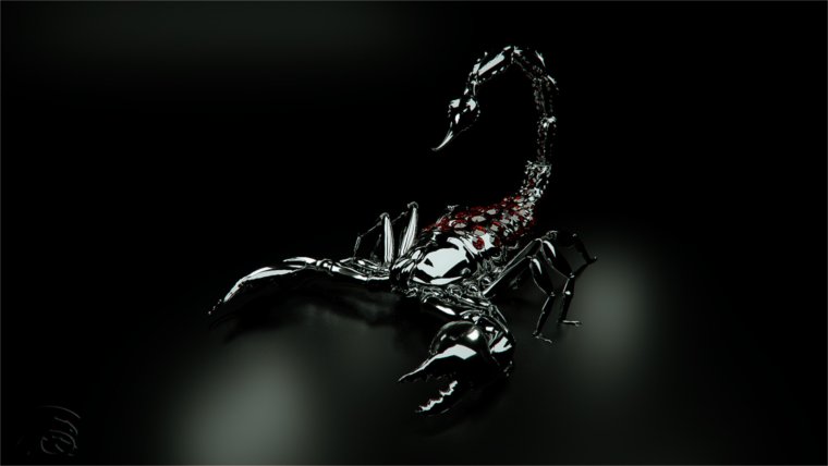 Обои на рабочий стол Скорпион