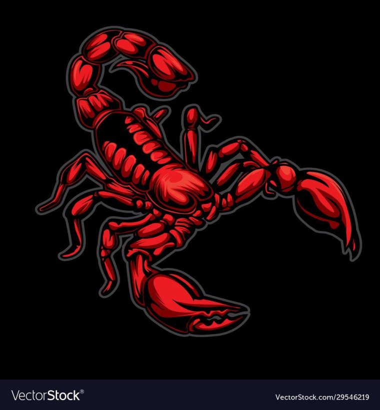 Красно черный Скорпион