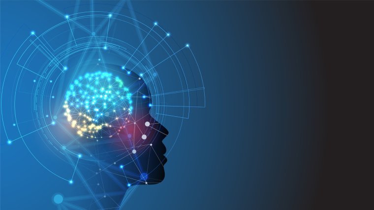 Скилфолиокидс Шиманская