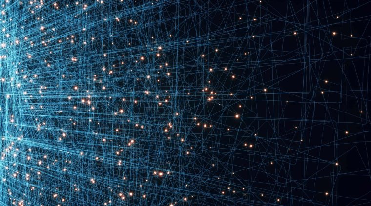 Цифровая сетка