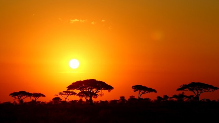 Африка пустыня Саванна джунгли