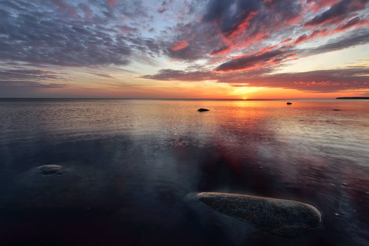 Белое море лето