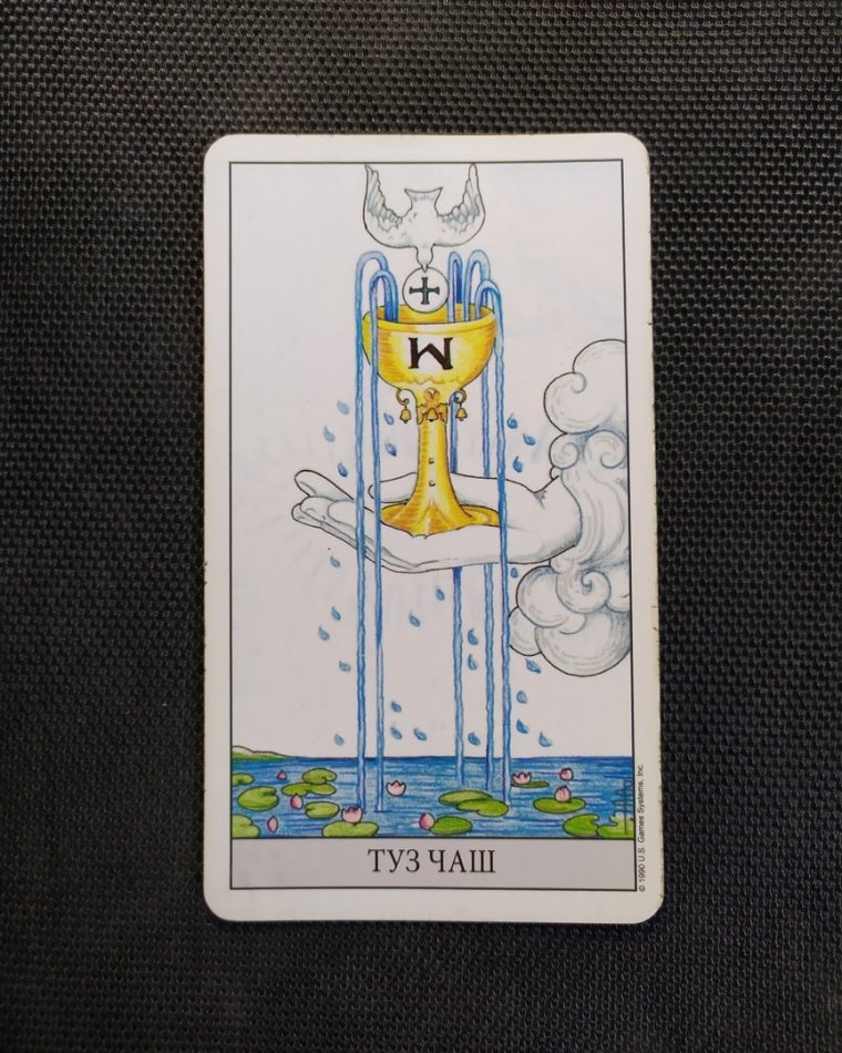 Туз чаш карта дня