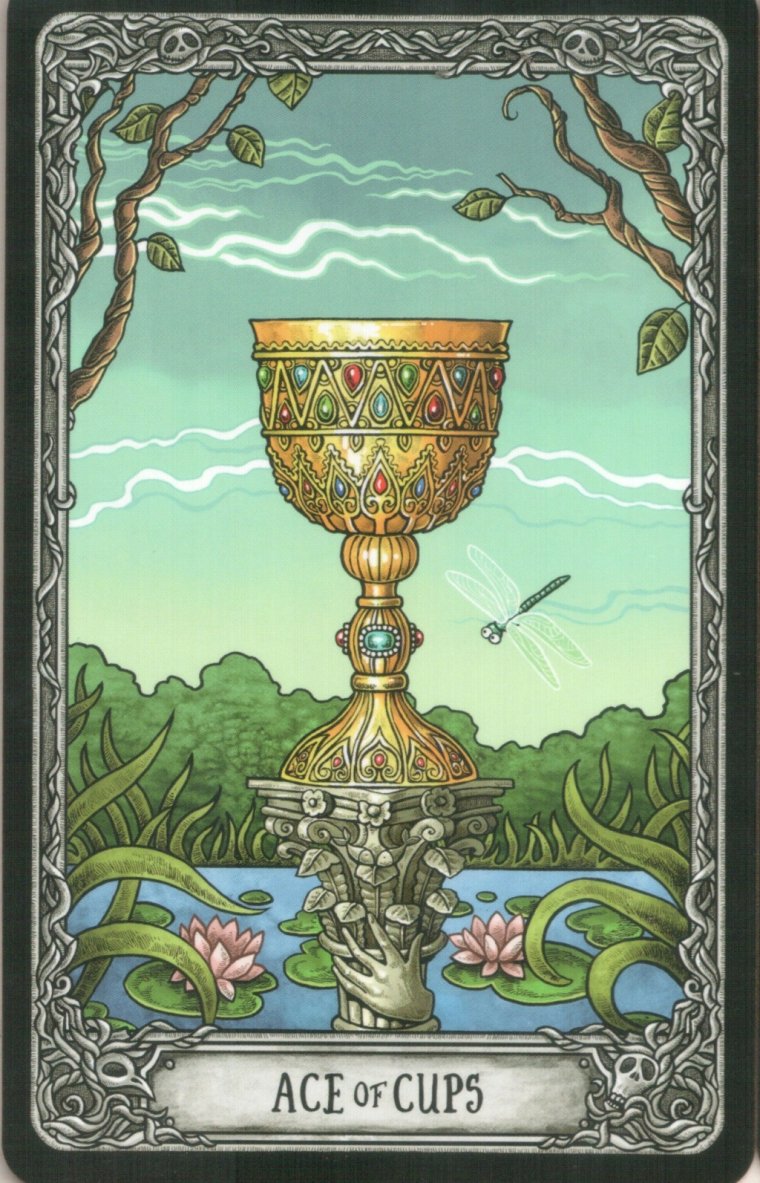 Туз кубков Таро Уэйта