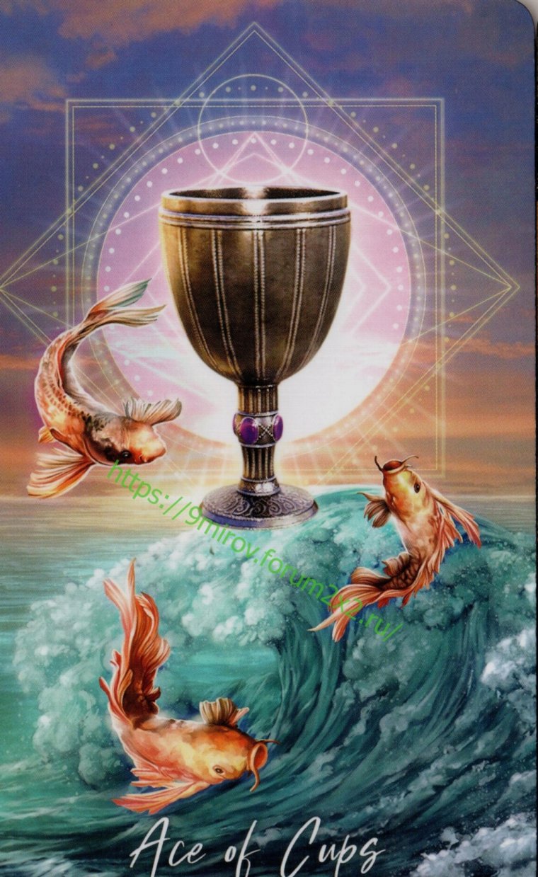 Туз кубков обои