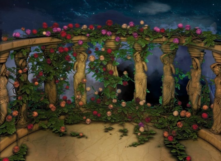 Секрет небес школа