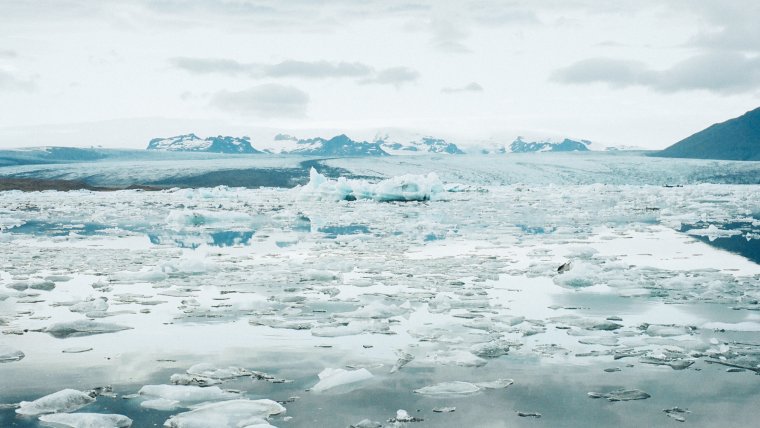 Льды Северного Ледовитого океана