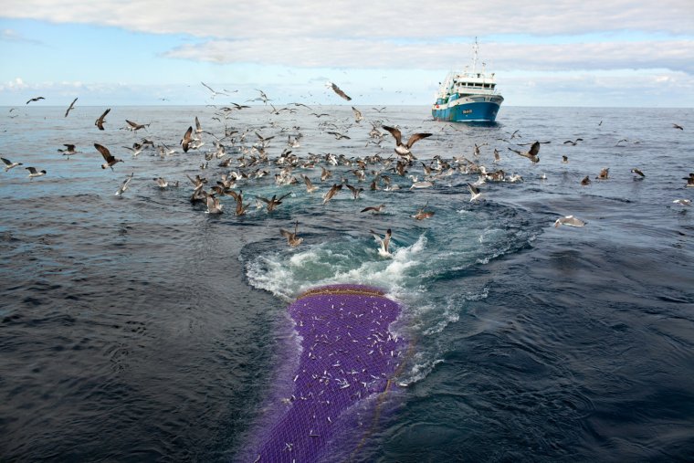 Траулеры в Беринговом море