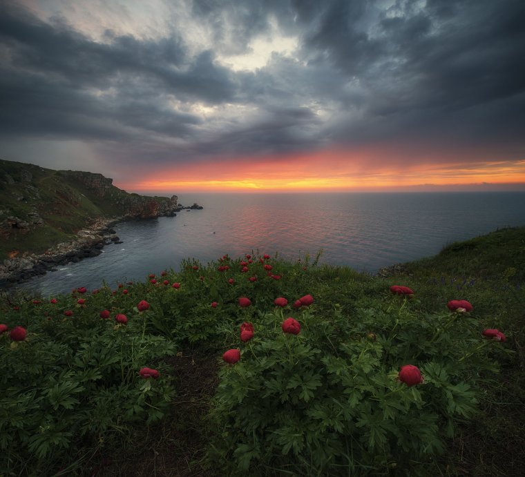 Красота черного моря