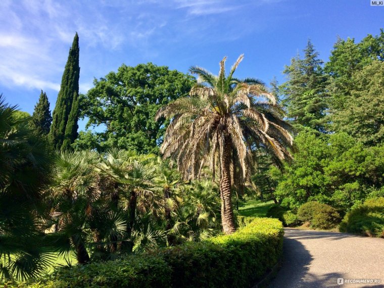 Субтропический парк «Дендрарий» Сочи