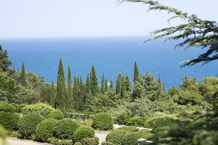 Ялта Крым кипарисы море горы