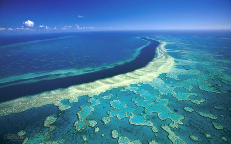 Большой Барьерный риф (the great Barrier Reef)
