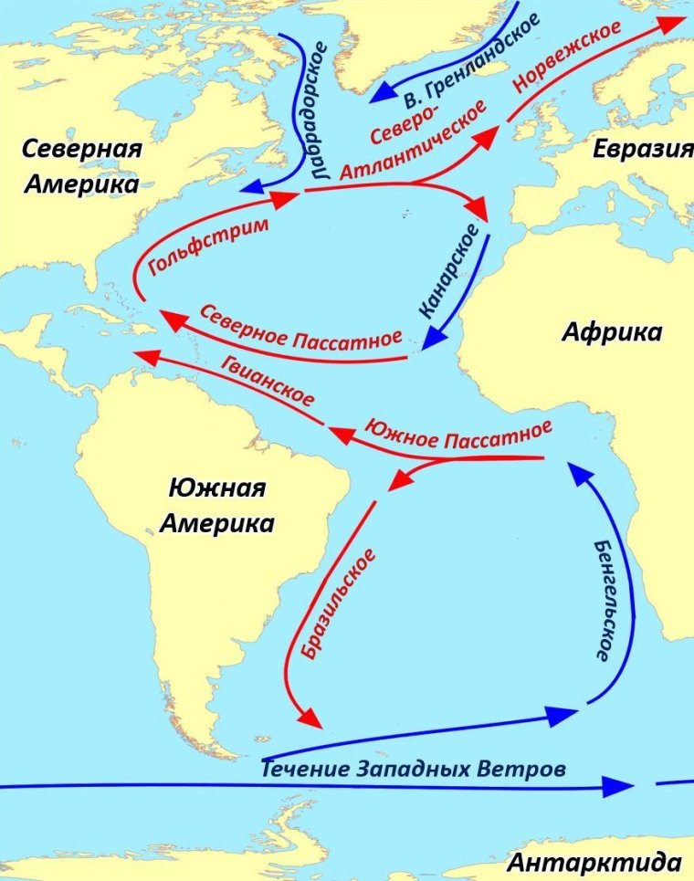 Теплые течения Гольфстрим,Куросио,