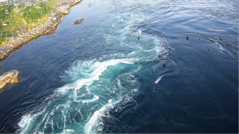 Сальстраумен течений Гольфстрим