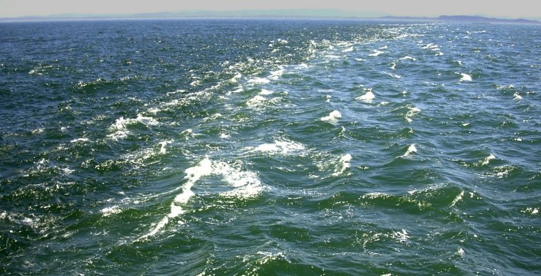 Воды разных океанов