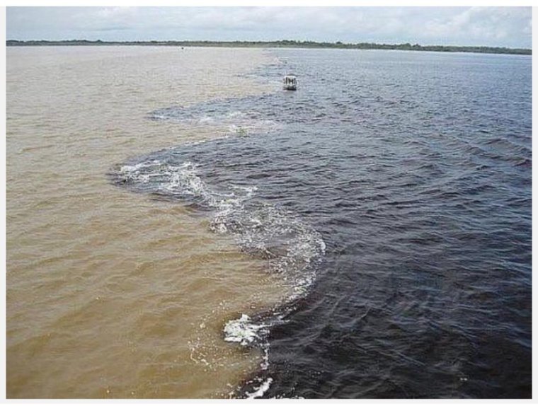 Галоклин Балтийское море