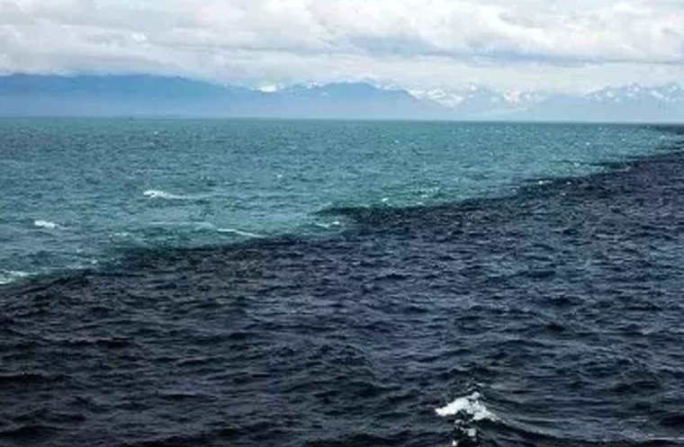 Аляскинский залив