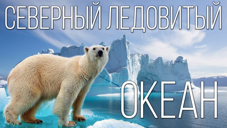 Северный Ледовитый океан самый загадочный и маленький океан на земле