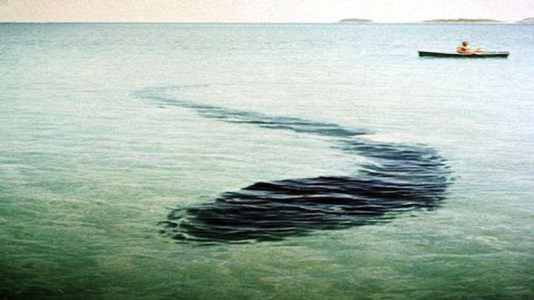 Карадагское чудовище в черном море