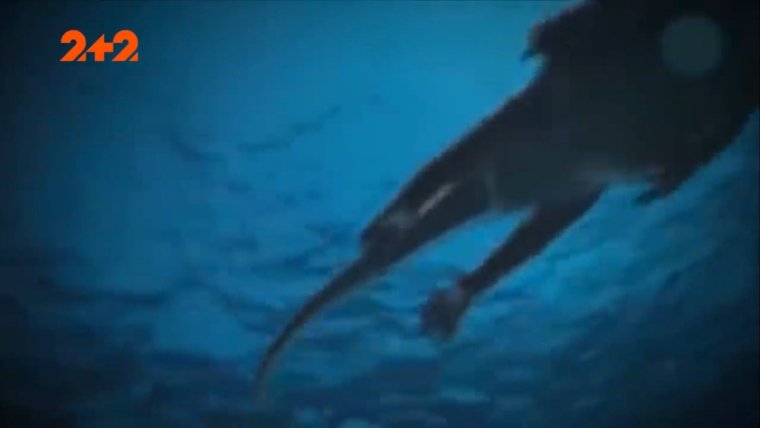 Крымский змей Карадагский