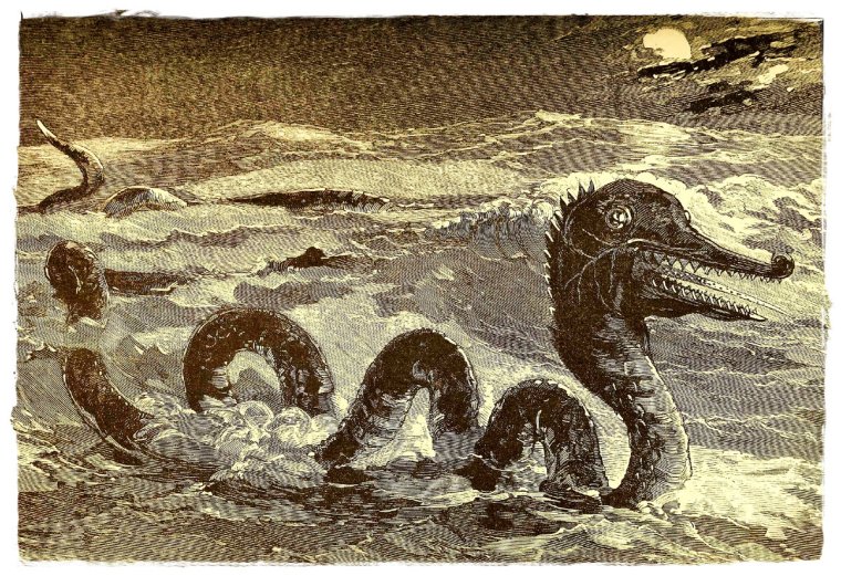 Карадагское чудовище в Крыму Карадагский змей монстр