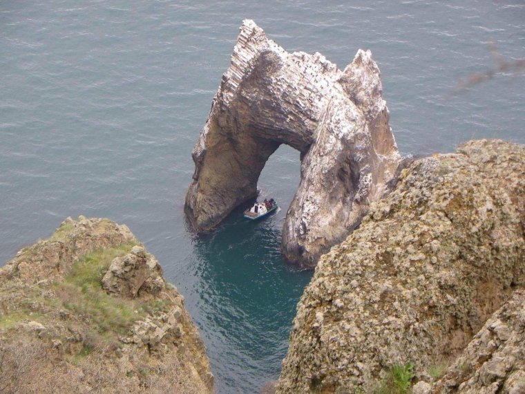 Крымское чудовище Карадагское